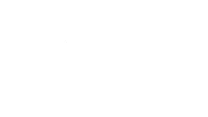 Rogue Rider